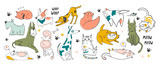 Fototapeta Fototapety na ścianę do pokoju dziecięcego - Different pets in various poses. Hand drawn big vector set of various dogs and cats. Colored trendy illustration. Flat design. All elements are isolated