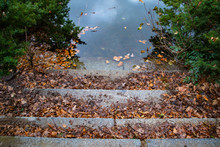 Autumn In The Park. Old Stone Stair Covered With Wet Fall Leaves Near Calm Pond Water Surface With Blurred Reflection. Stairway To Lake In Tiergarten Park Of Berlin Germany. Autumn Background