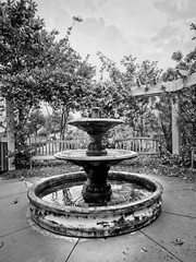 Wall Mural - Water Fountain by the Path 4 B&W