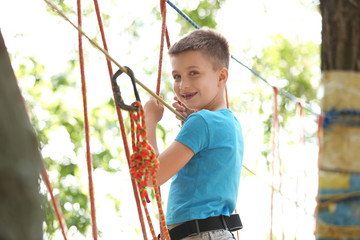 Wall Mural - Little boy climbing in adventure park. Summer camp