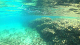 Fototapeta Do akwarium - Split of above and underwater photo of iconic and beautiful small cove and sandy clear turquoise beach of Agios Sostis, Mykonos island, Greece