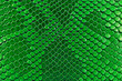 © domnitsky - Green snake skin, as background. Reptile.