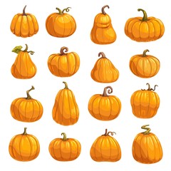 Wall Mural - Pumpkin vegetable icons of autumn squash or gourd