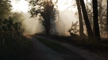 Speed Up Video Of Atmospheric Summer Forest Scene With Road, Trees, Sunset, Forest Fire Smoke And Sun Rays. Smoke Moves With Wind.
