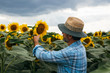 © cherryandbees - farmer in examine sunflower in sunflower field