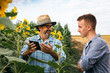 © cherryandbees - senior worker with his young colleague using laptop in sunflower filed