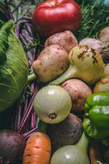 Wall Mural - Tomato, cabbage, onion, potato, pepper, garlic, carrot and beetroot. Vegetables in a basket on a blue background. Copy space. Healthy food.