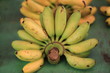 © WP_7824 - bunch of green bananas