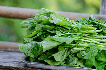 Canvas Print - Close up Green leaf mustard vegetable.