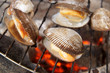 Barbecue grill cooking seafood, cockle seashells cooking on grill