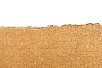 Closeup torn sheet of brown cardboard on white background.