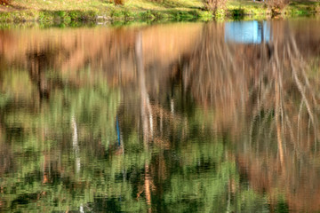 Autumn forest river water panorama. Natural color.