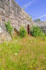 Sticker - Wild flowers at the stone wall of the fortress