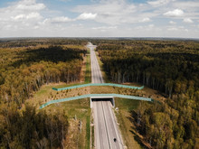 Wildlife Crossing - Bridge Over A Highway In Forest