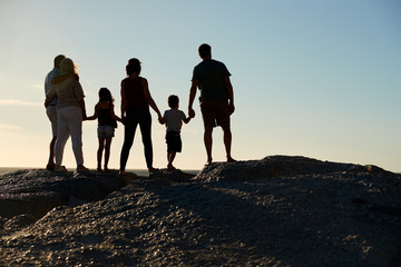 Wall Mural - Three generation family on a beach holding hands, admiring view, full length, silhouette, back view