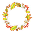 Autumn frame on a white background hand drawing. Frame of autumn yellow leaves, rowan berries. Design for banner, invitation.