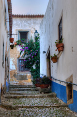 Wall Mural - Ruelle traditionnelle à Óbidos, Portugal