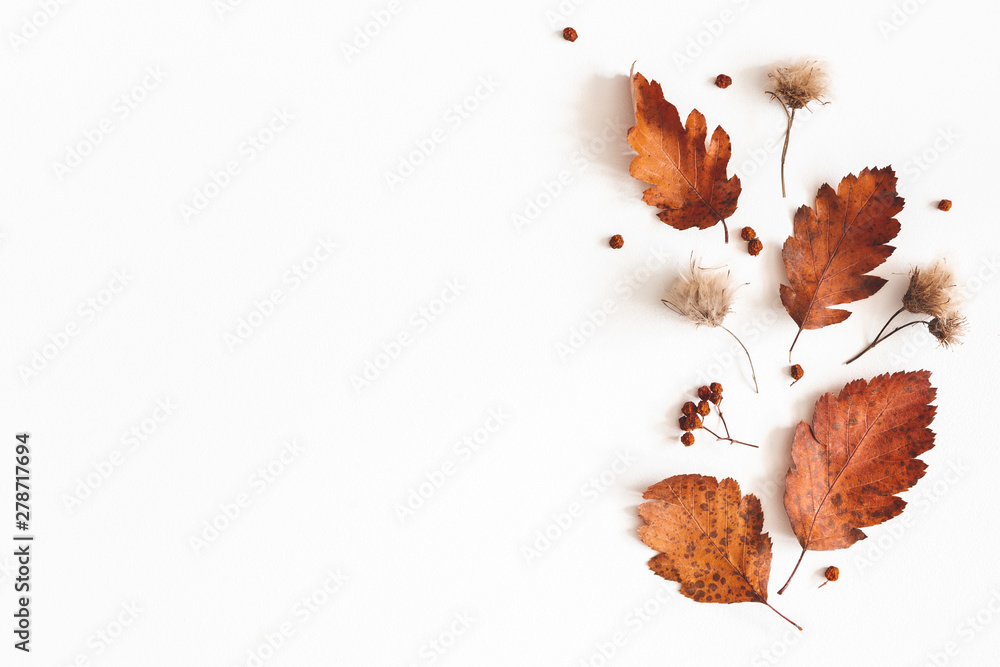 Autumn composition. Dried leaves, flowers, rowan berries on white background. Autumn, fall, thanksgiving day concept. Flat lay, top view, copy space - obrazy, fototapety, plakaty 