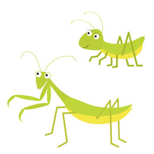 Mantis, Grasshopper Icon Set. Cute Cartoon Kawaii Funny Character. Green Insect Isolated. Praying Mantid. Big Eyes. Smiling Face. Flat Design. Baby Clip Art. White Background.