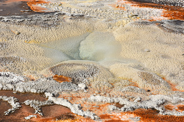 Geyser and hot spring in old faithful basin in Yellowstone National Park in Wyoming