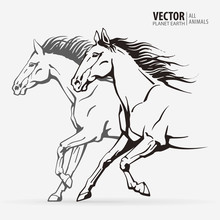 Beautiful Arabian Horses. Silhouettes Of A Running Horses. Galloping Animal. Sport. Vector Illustration