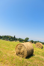 Agricultural Landscape With Round Hay Bale