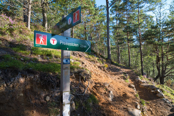 Wall Mural - pulpit rock directional sign