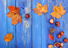 Autumn Background. Horse Chestnuts And Fall Leaves On Blue Boards.