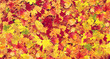 Autumn leaves colorful background 3D Rendering