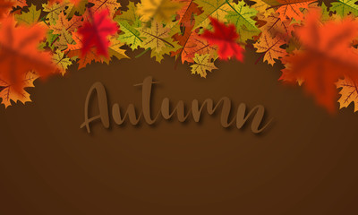 Wall Mural - Autumn falling leaves background  Vector template.