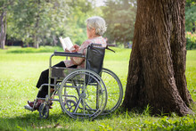  Happy Asian Senior Woman Reading A Book Relaxed In The Morning In Green Nature,near The Tree,elderly People Spend Their Free Time Reading Book About Health Care In Wheelchair In Summer Outdoor Park