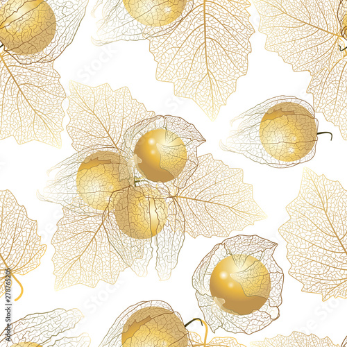 Seamless Pattern With Bunch Fruit Winter Cherry Physalis Vector Illustration Buy This Stock Vector And Explore Similar Vectors At Adobe Stock Adobe Stock