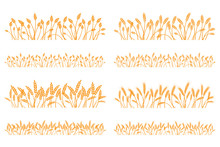 Vector Silhouette Of Wheat. Set. Wheat In A Field On A White Background