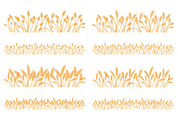 Vector silhouette of wheat. Set. Wheat in a field on a white background