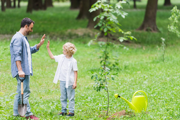 Wall Mural - father and son showing high five gesture during planting seedling in park