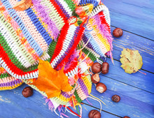 Autumn Background. Horse Chestnuts On Crocheted Bright Warm Striped Plaid.