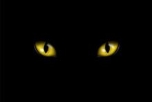 Realistic Illustration Of Yellow Feline Eyes Or Cat Eye, Isolated On Black Background, Vector