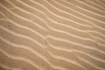  Beach sand