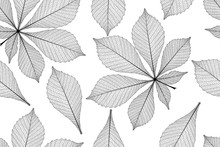 Seamless Pattern With Chestnut Leaves. Vector Illustration. 