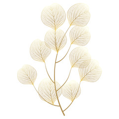 Wall Mural - branch with leaves isolated. vector illustration.