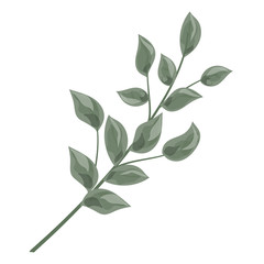 Wall Mural - art watercolor natural leaves elements. vector illustration.
