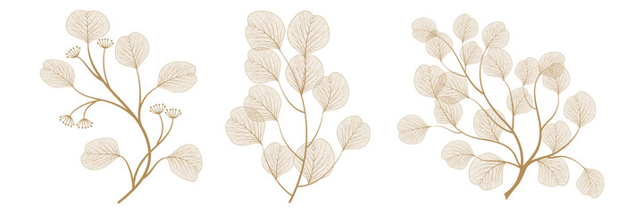 Wall Mural - Set branches with leaves eucalyptus. Vector illustration. EPS 10.