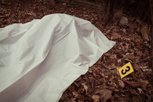 Victim Of A Violent Crime Under A Sheet In A Rural Yard. With Evidence Markers.