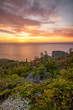© Scott Heaney - Beautiful sunset over the rugged rocky shore of Newfoundland. North coast of Twillingate, near Long Point Lighthouse.