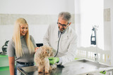 Fototapeta Zwierzęta - woman consulting with her veterinarian about her pet at veterinary clinic