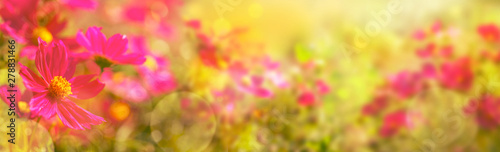 Abstract flower background