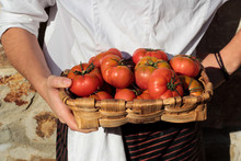 Tasty Appetizing Tomatoes With Green Stems In Brown Straw-plaited Basket In Hands