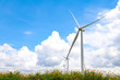 Flower and wind power generator on blue sky background.