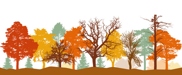 silhouette of forest in autumn. bare trees, trees in orange, yellow, red colors. vector illustration