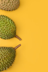 Wall Mural - durian  on bright yellow background with copyspace